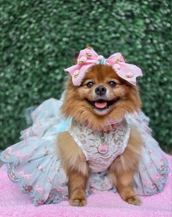 Pink rose and bow tutu with 4” only bow included - Image 2